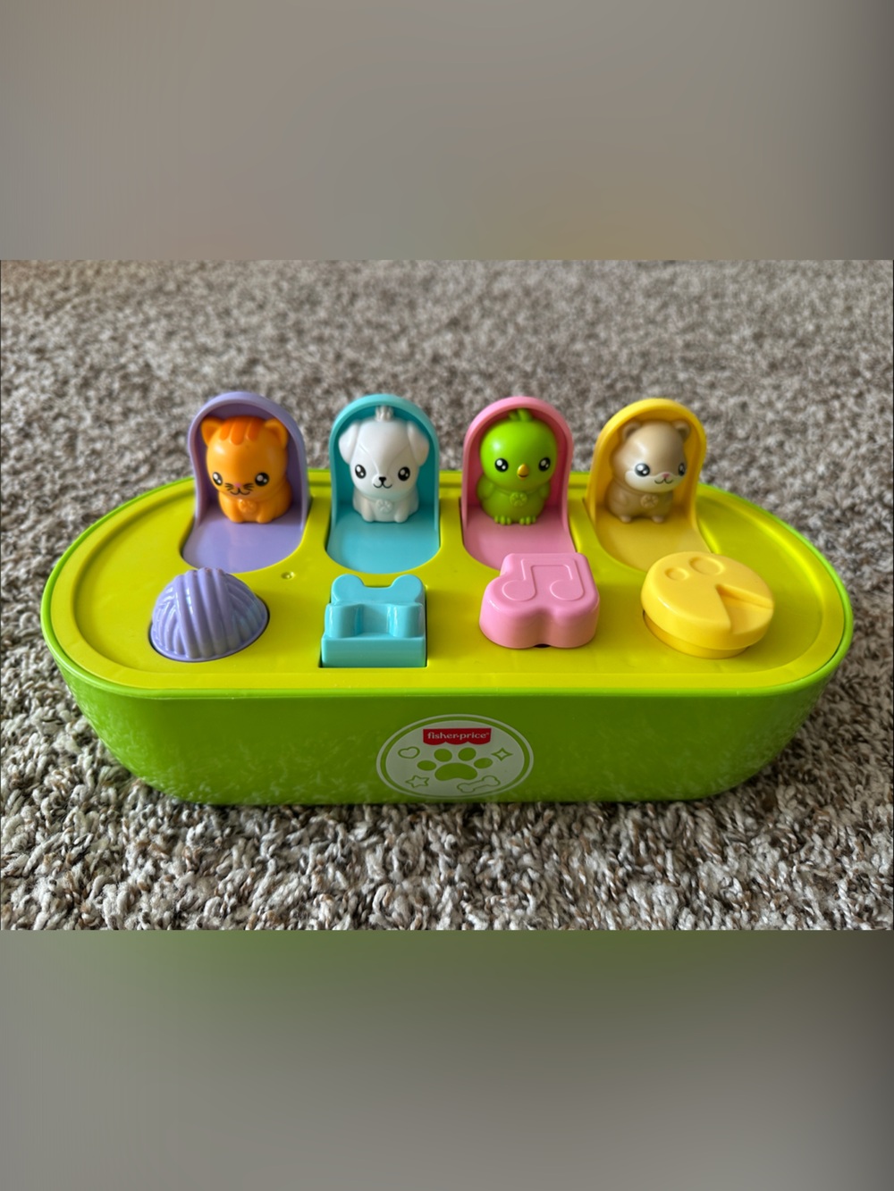 NWOT Fisher-Price Green Pop-Up Animal Sorter with Pink, Purple, Blue & Yellow